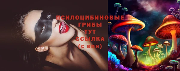 PSILOCYBIN Балахна