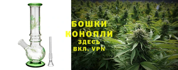 2c-b Белокуриха