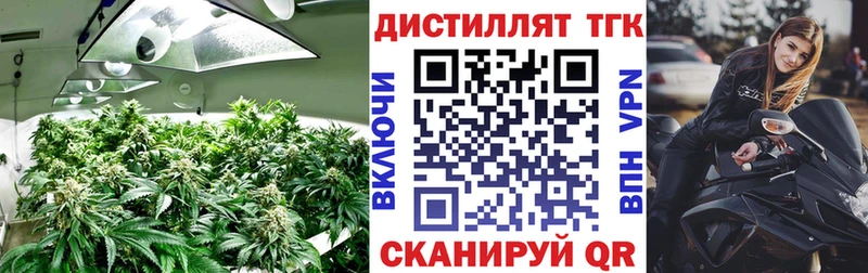 ОМГ ОМГ онион  Верещагино  ТГК жижа 